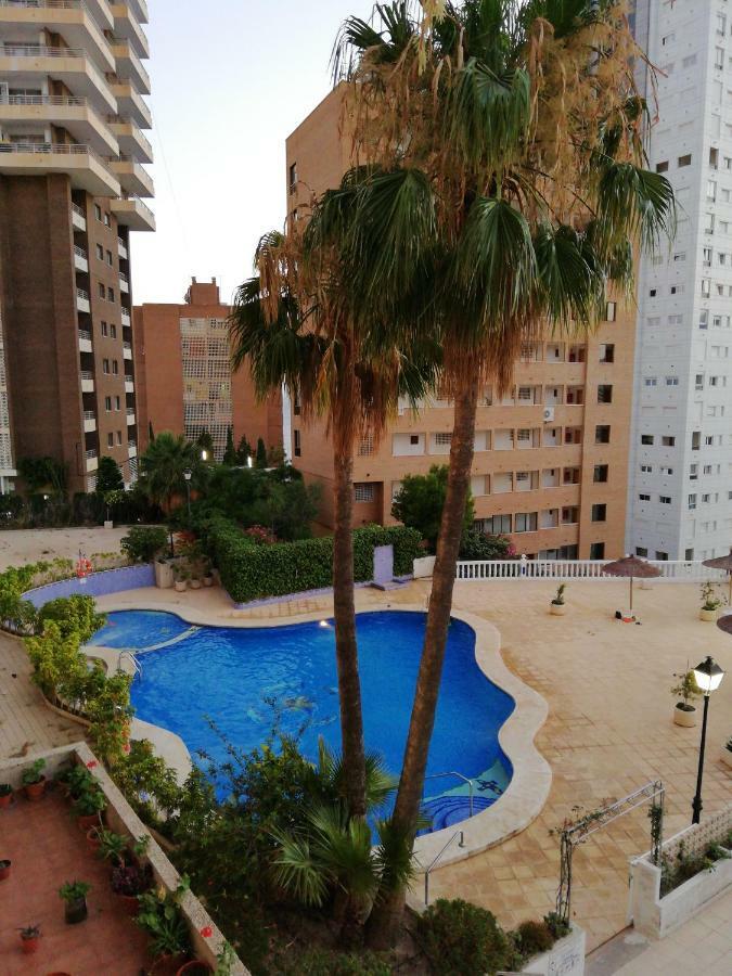 בנידורם Apartment Diamond מראה חיצוני תמונה